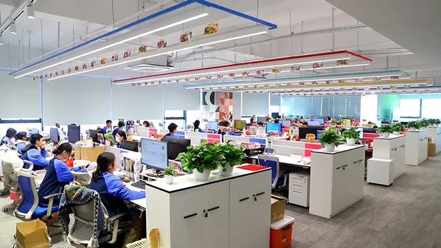 Grandfox Co., Ltd. Pet Toys