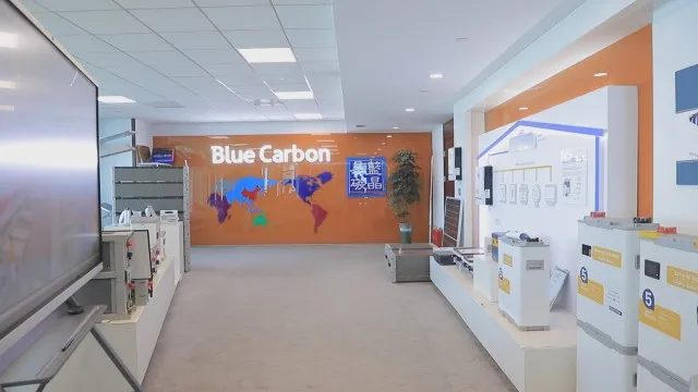 Blue Carbon Technology Inc. LiFePO4 Battery Pack
