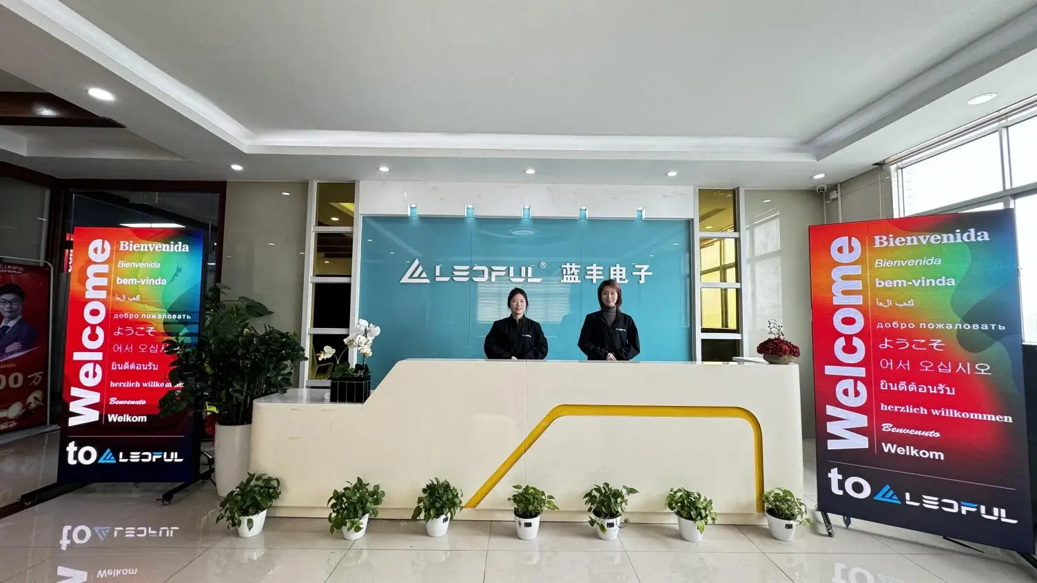 Shenzhen Ledful Electronics Co., Ltd. factory image 2