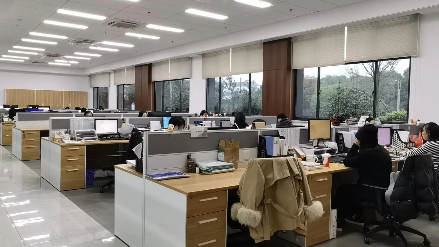 Jiangsu Sfere Electric Co., Ltd. Active Power Filter
