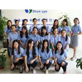 Zhuhai Shuangye Electronic Technology Co., Ltd. Electric Mountain Bike