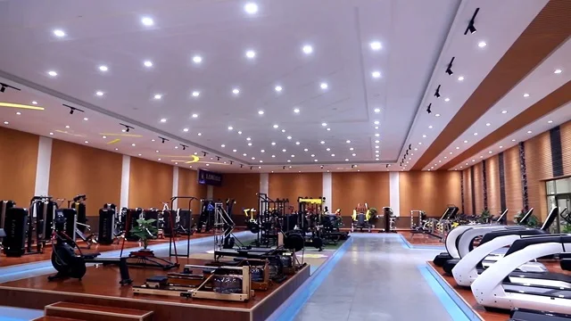 Shandong Land Fitness Tech Co., Ltd. Commercial Treadmills