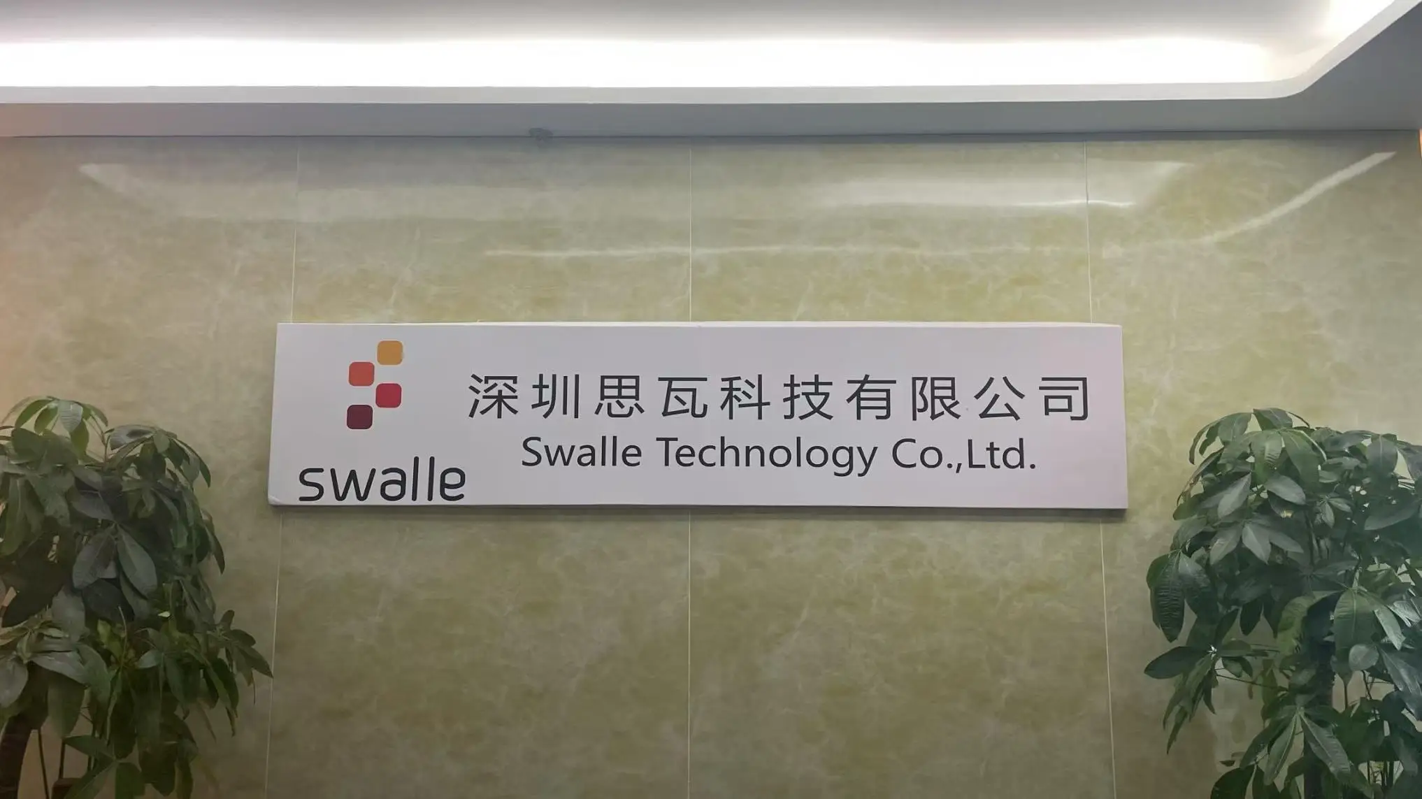 Shenzhen Swalle Technology Co., Ltd. LiFePO4 Battery Pack