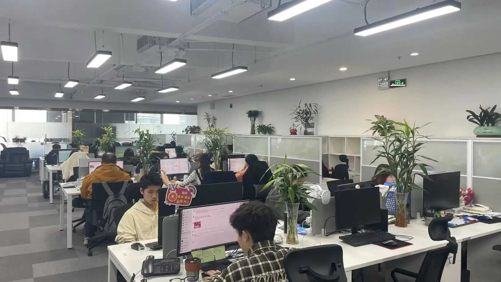 Shenzhen Swalle Technology Co., Ltd. Sodium Ion Battery