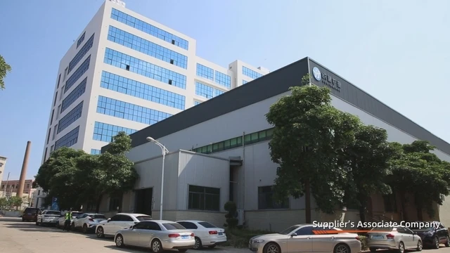 Quanzhou Focus Sanitary Products Co., Ltd. Baby Diaper