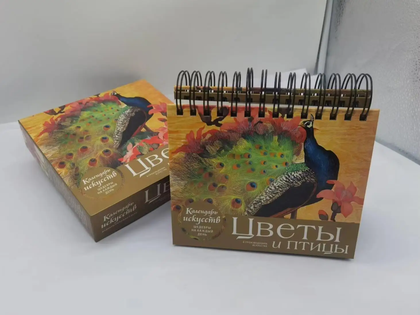 Shenzhen Caimei Printing Co., Ltd. Bible Printing