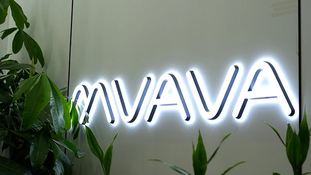 MVAVA Electrical Technology Co., Ltd. Wall Switch