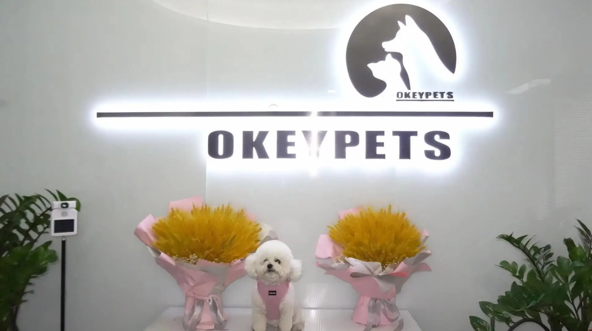 Guangzhou OKEYPETS Products Co., Ltd. Dog Harness