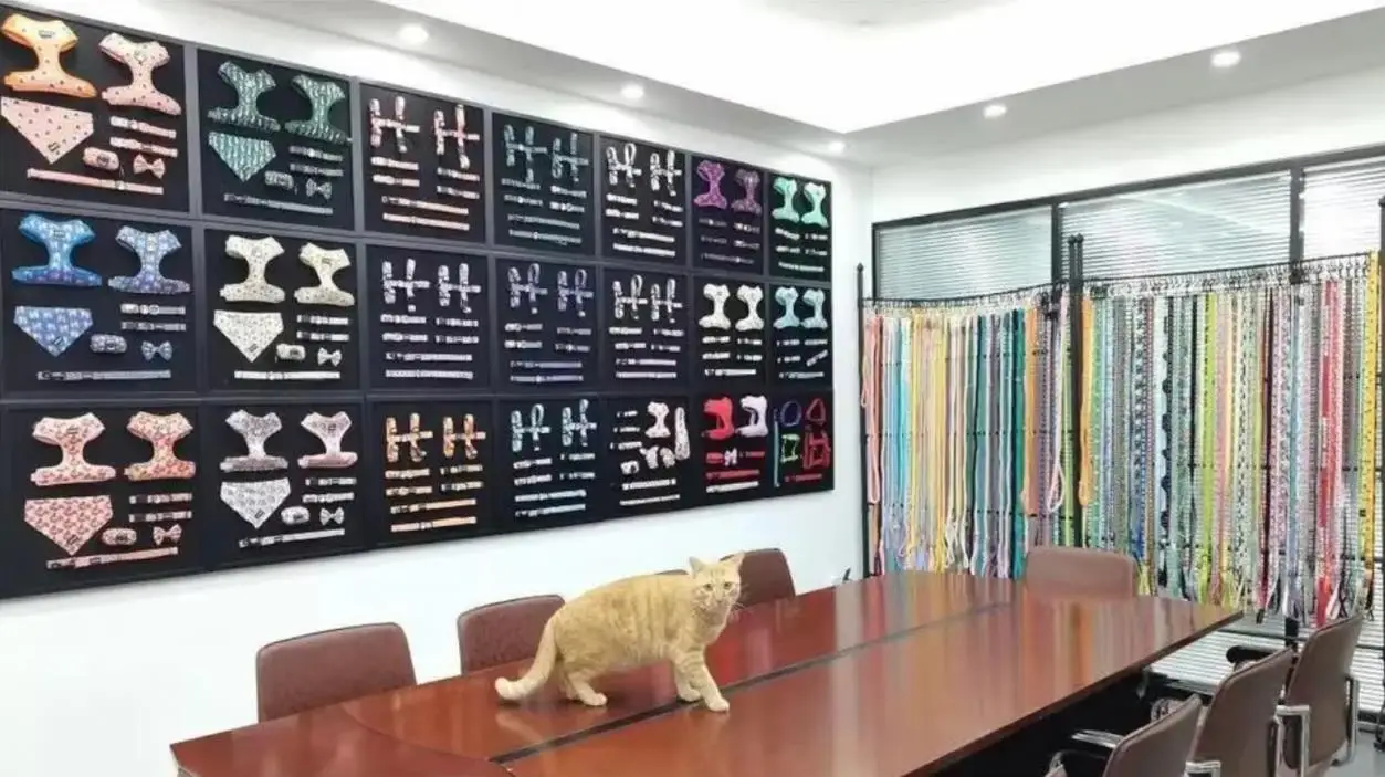 Guangzhou OKEYPETS Products Co., Ltd. Dog Leash