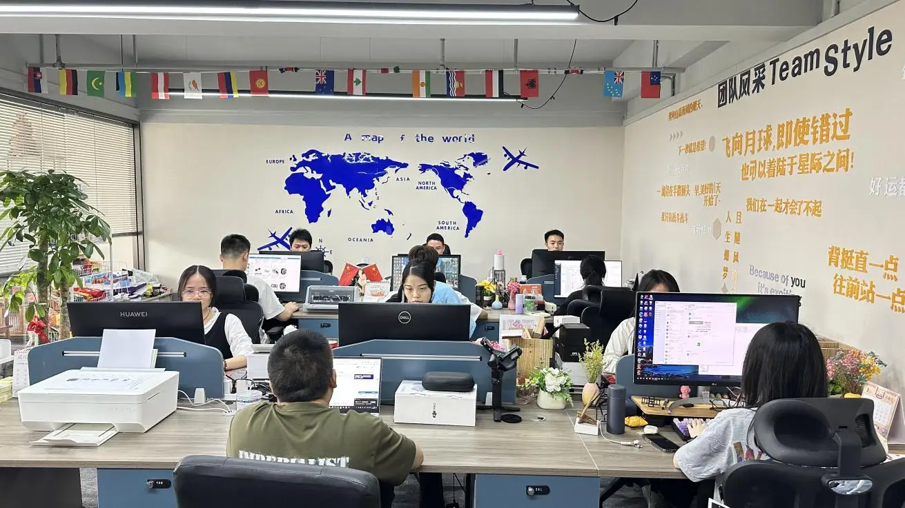 Shenzhen Owl Technology Co., Ltd. TWS Headset