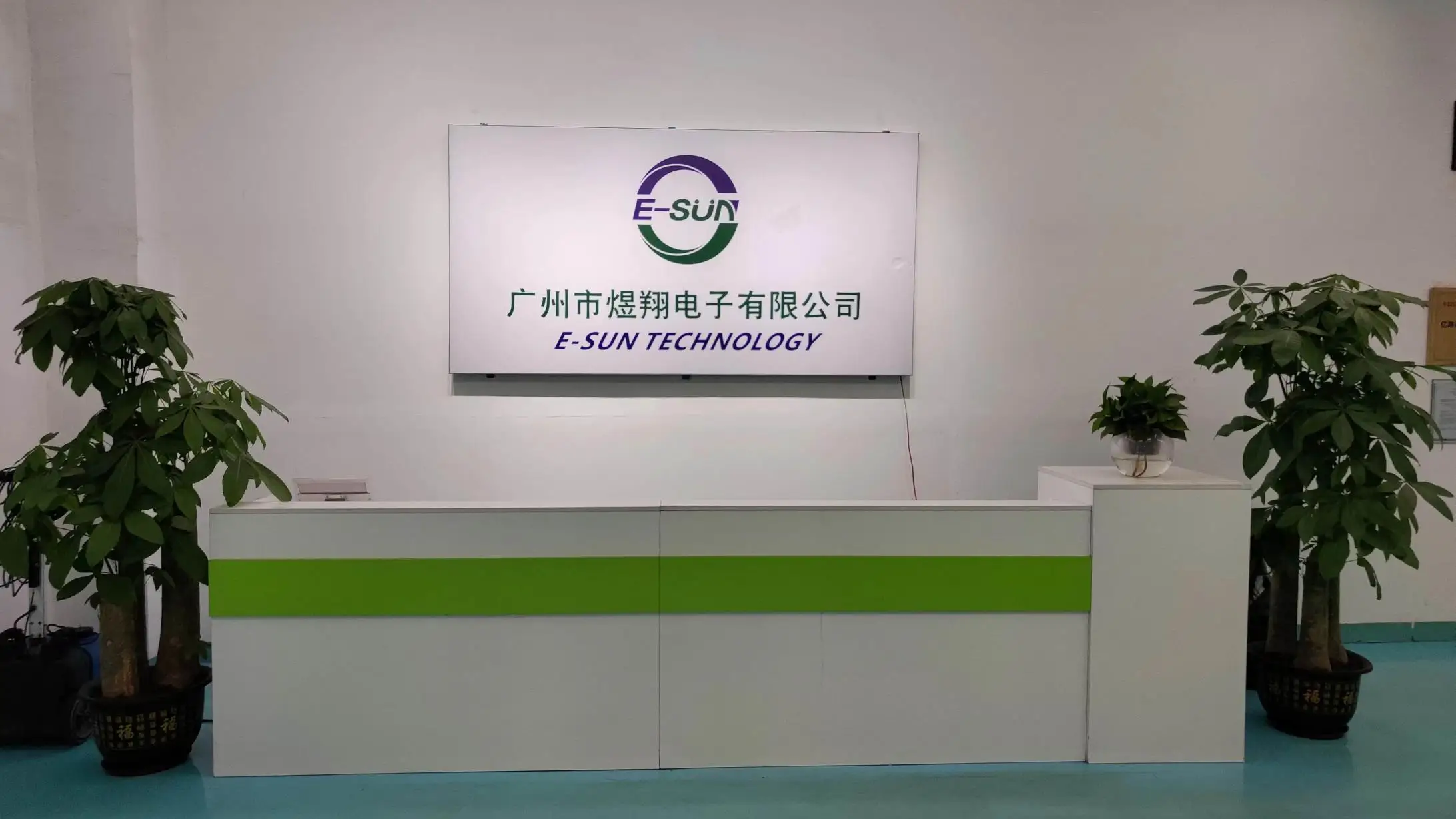Guangzhou E-Sun Technology Co., Ltd. Lithium Battery Pack