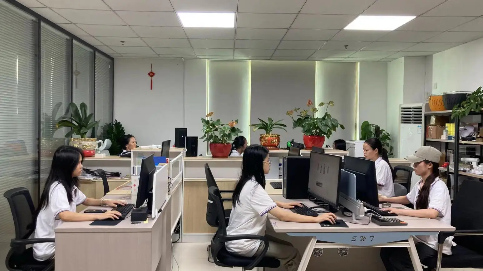 Shenzhen Bowei Tech Co., Ltd. CO2 Fractional Laser Machine