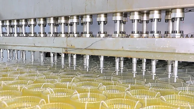 Weifang Dawn Green Valley International Co., Ltd. Scented Candles