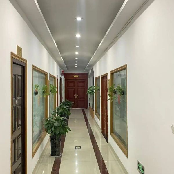 d59q3skd9dcc738oulvg.webp