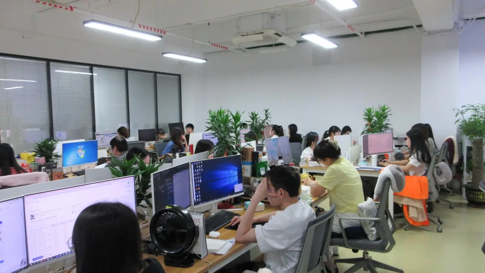 Shenzhen Wanzhong Import & Export Co., Ltd. Bark Collar