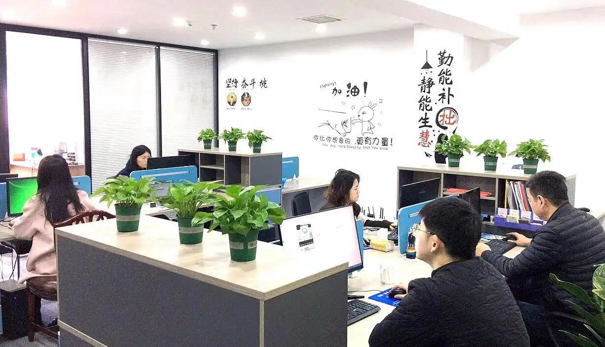 Shenzhen Baibaikang Technology Co., Ltd. Massage Pillow