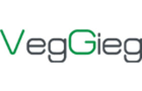 Dongguan Weige Electronic Technology Co., Ltd. logo