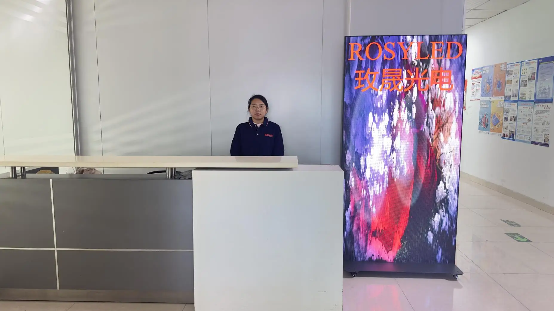 RosyLED (Shenzhen) Co., Ltd. LED Display