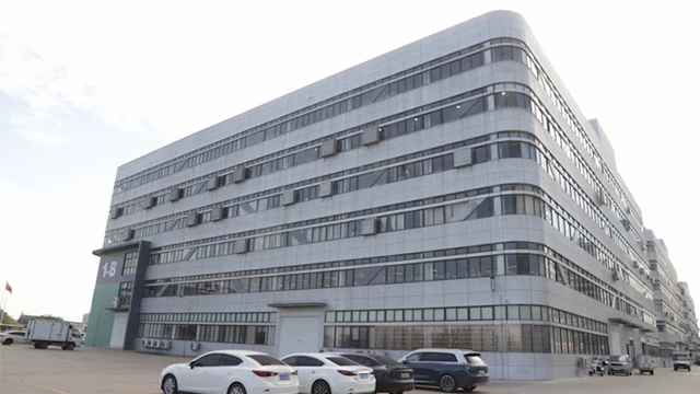 Taizhou Global Trading Co., Ltd. Running Shoes