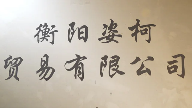 Hengyang Zike Trading Company Ltd. Hydra Facial Machine