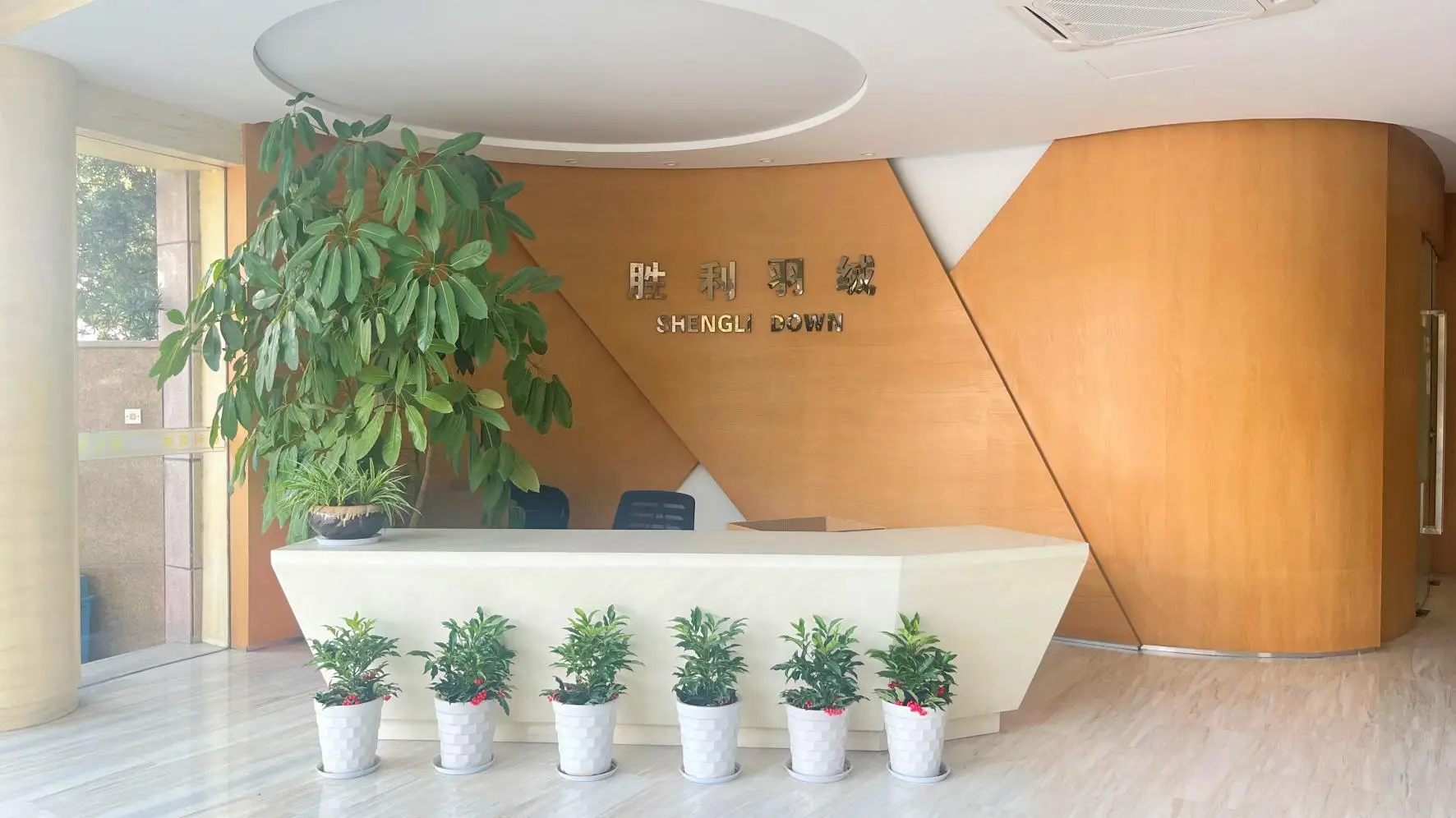 Zhejiang Shengli Down Products Co., Ltd. Down Comforter