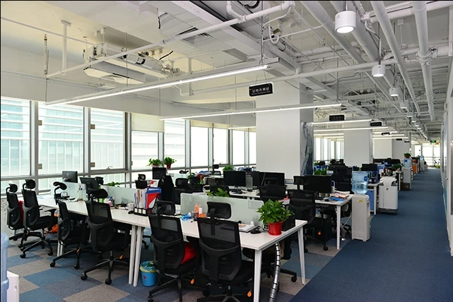 Zhangzhou Rich-Link Trading Co., Ltd. Pachira Macrocarpa