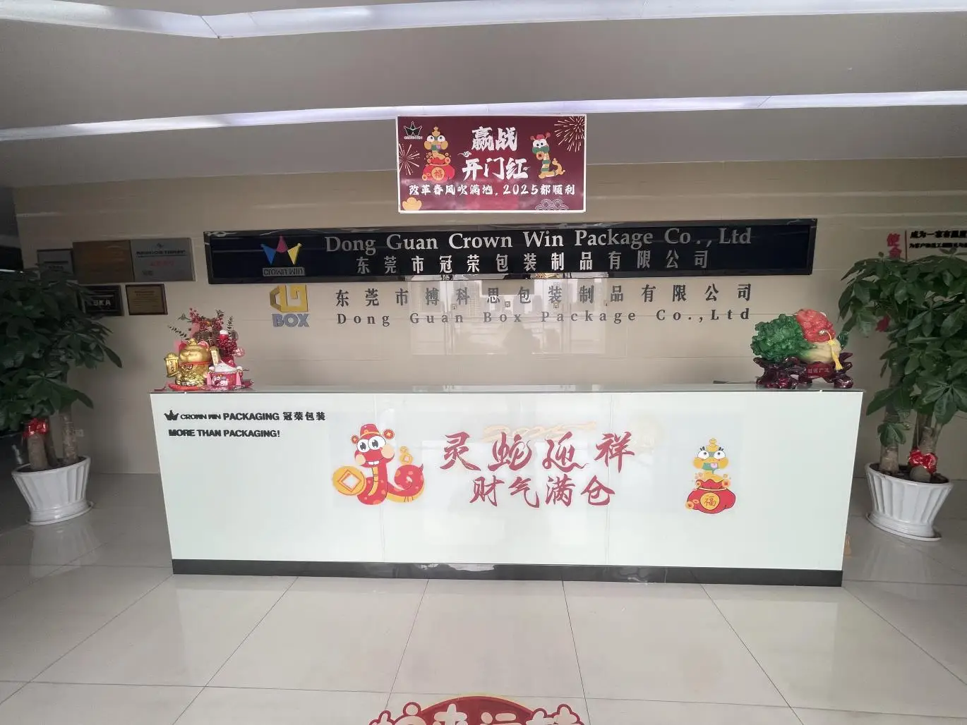 Dongguan Crown Win Package Co., Ltd. Paper Bags