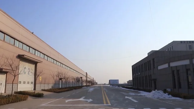 Shijiazhuang Duronma Trade Co., Ltd. Adult Diapers