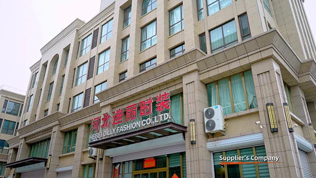 Hebei Dilly Fashion Co., Ltd. factory image 1
