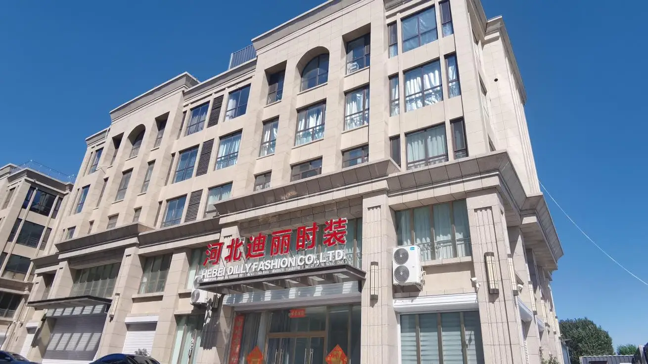Hebei Dilly Fashion Co., Ltd. factory image 2