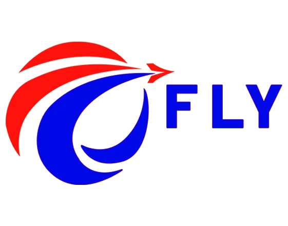 Shenzhen Flying International Freight Forwarder Co., Ltd. logo
