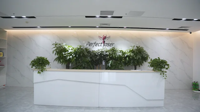 Beijing Perfectlaser Technology Co., Ltd. Laser Hair Removal Machine