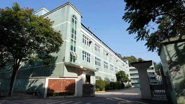 Shenzhen Long Xing Long Metal & Plastic Products Co., Ltd. Plastic Injection Molding