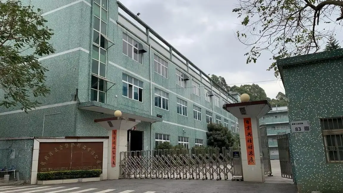 Shenzhen Long Xing Long Metal & Plastic Products Co., Ltd. Injection Molds