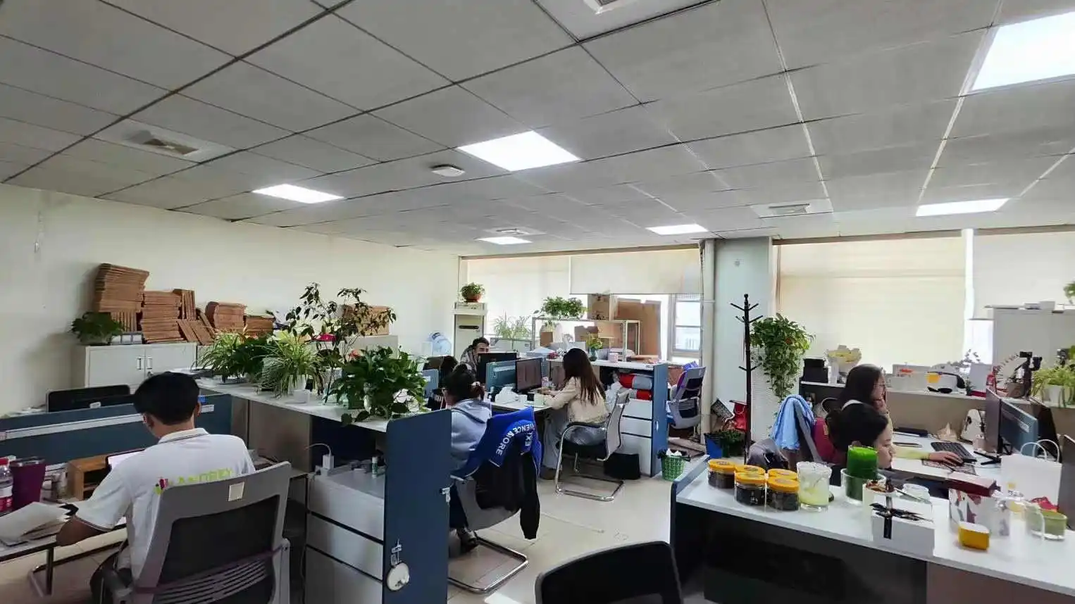 Chengdu Andrey Trade Co., Ltd. Scented Candle