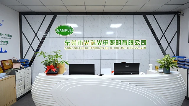 Dongguan Light Shines Electric Lighting Co., Ltd. LED String Light
