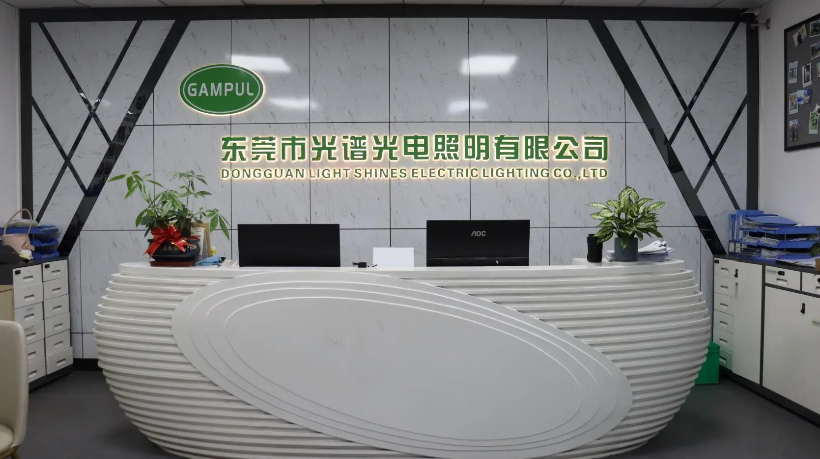 Dongguan Light Shines Electric Lighting Co., Ltd. LED Strip Light
