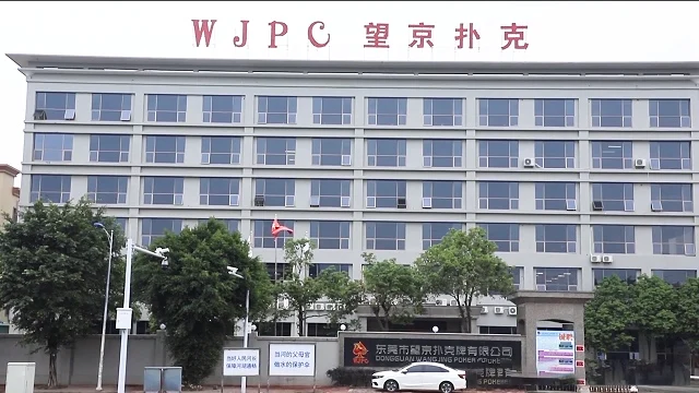 Guangdong Wangjing Card Game Tech Co., Ltd. Playing Cards