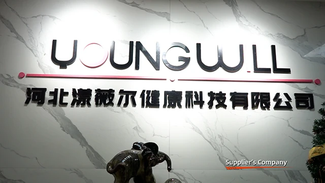 Hebei Young Will Health Technology Co., Ltd. Sex Dolls