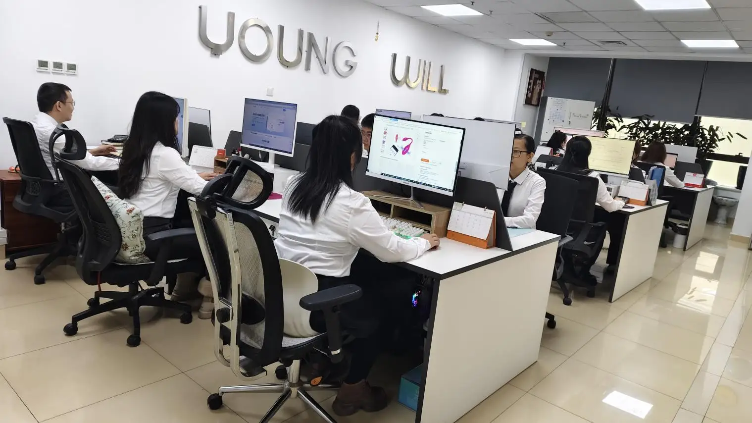 Hebei Young Will Health Technology Co., Ltd. Sex Dolls