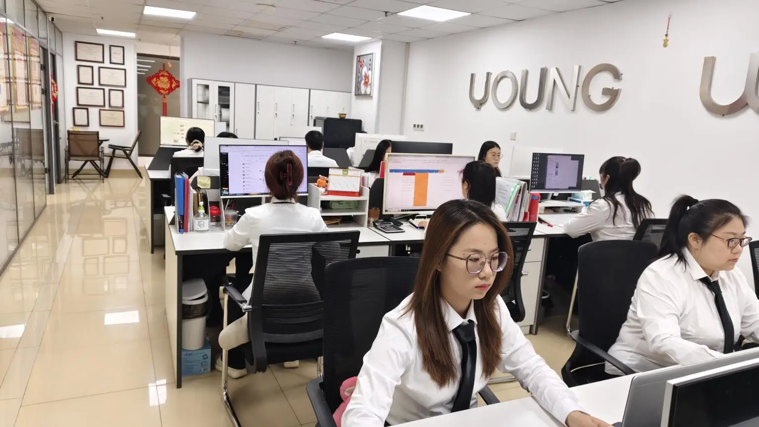 Hebei Young Will Health Technology Co., Ltd. Vibrators