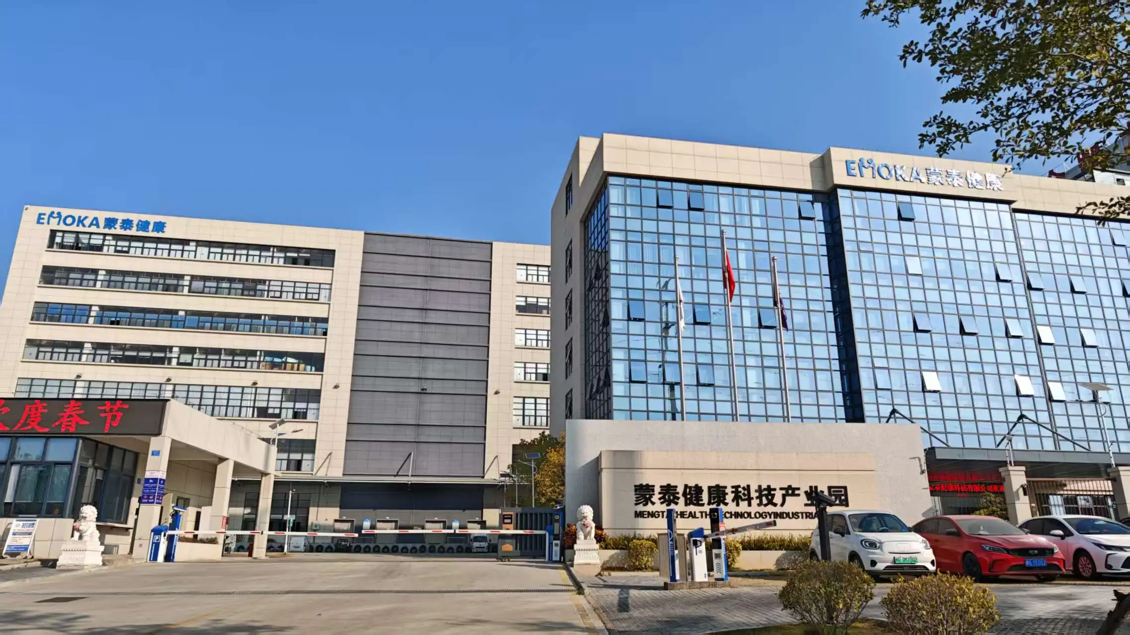 Xiamen Emoka Health Science & Technology Co., Ltd. Massage Cushion