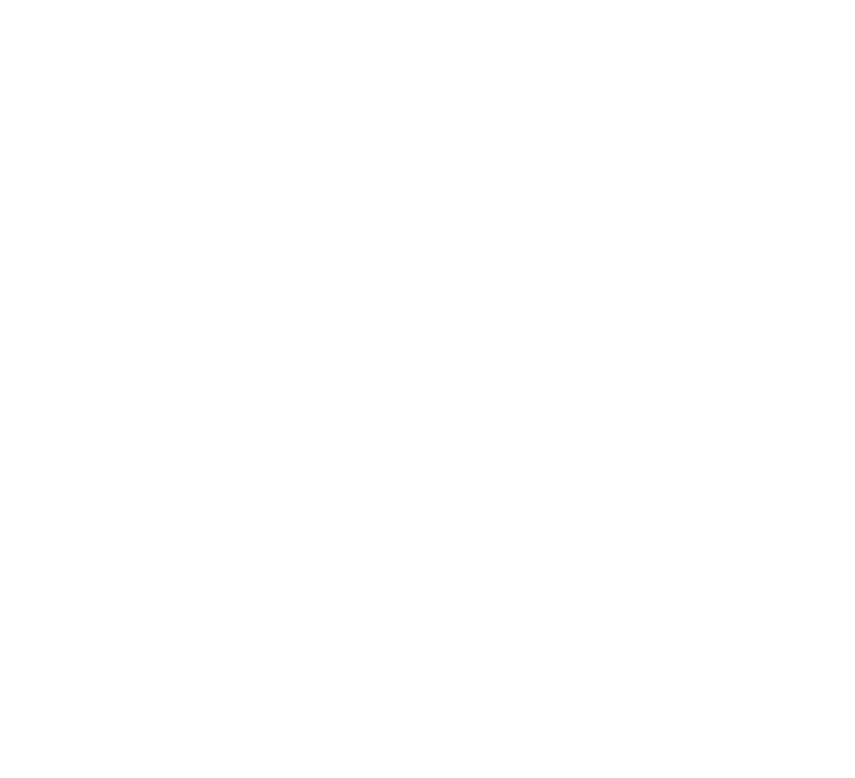 Dongguan Puoly Polymers Co., Ltd. logo