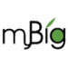 MyBig Sdn. Bhd. logo