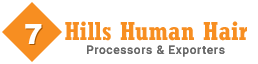 7 Hills Human Hair logo