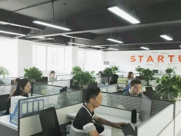 d59ri4lhkj9s73cq5ie0.webp