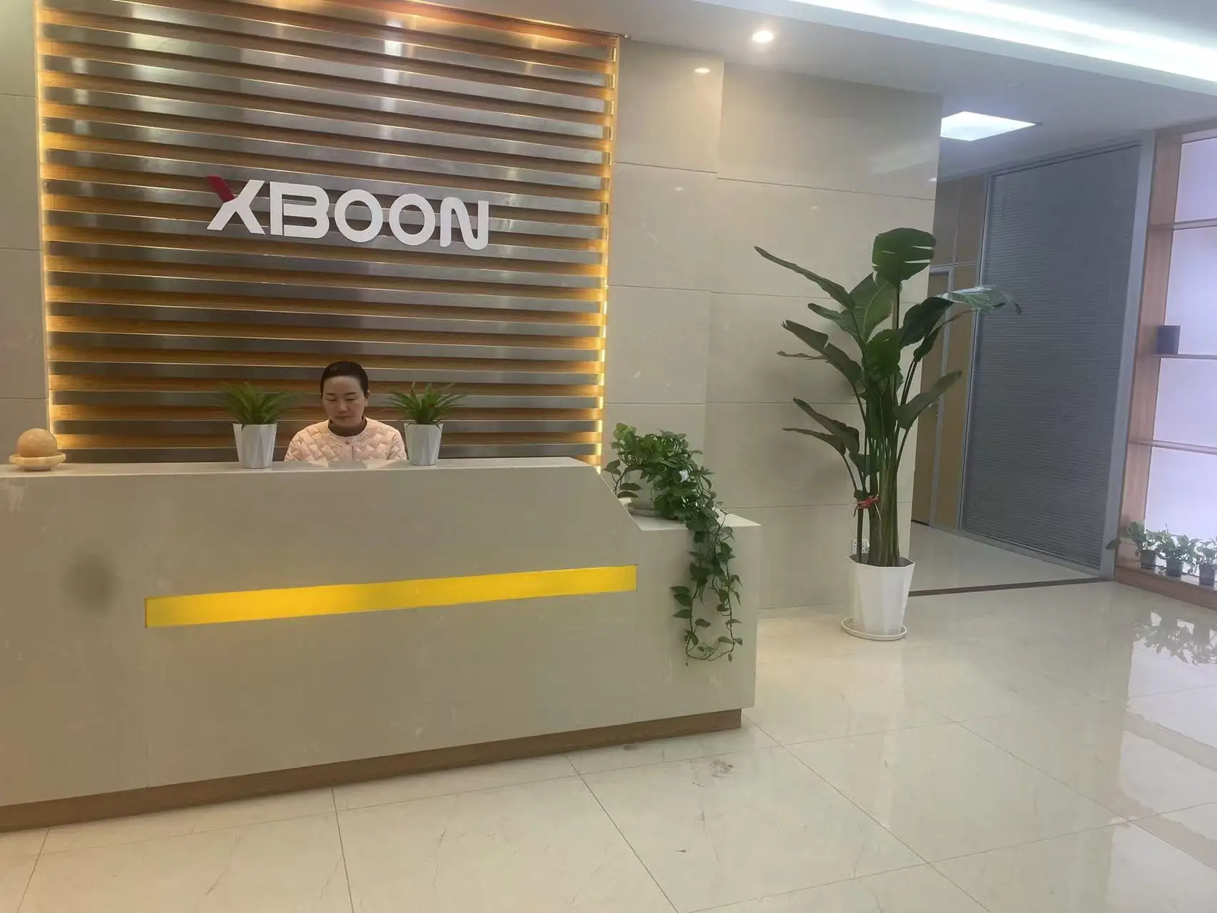 Shenzhen Xinbolong Technology Co., Ltd. TWS Earbuds