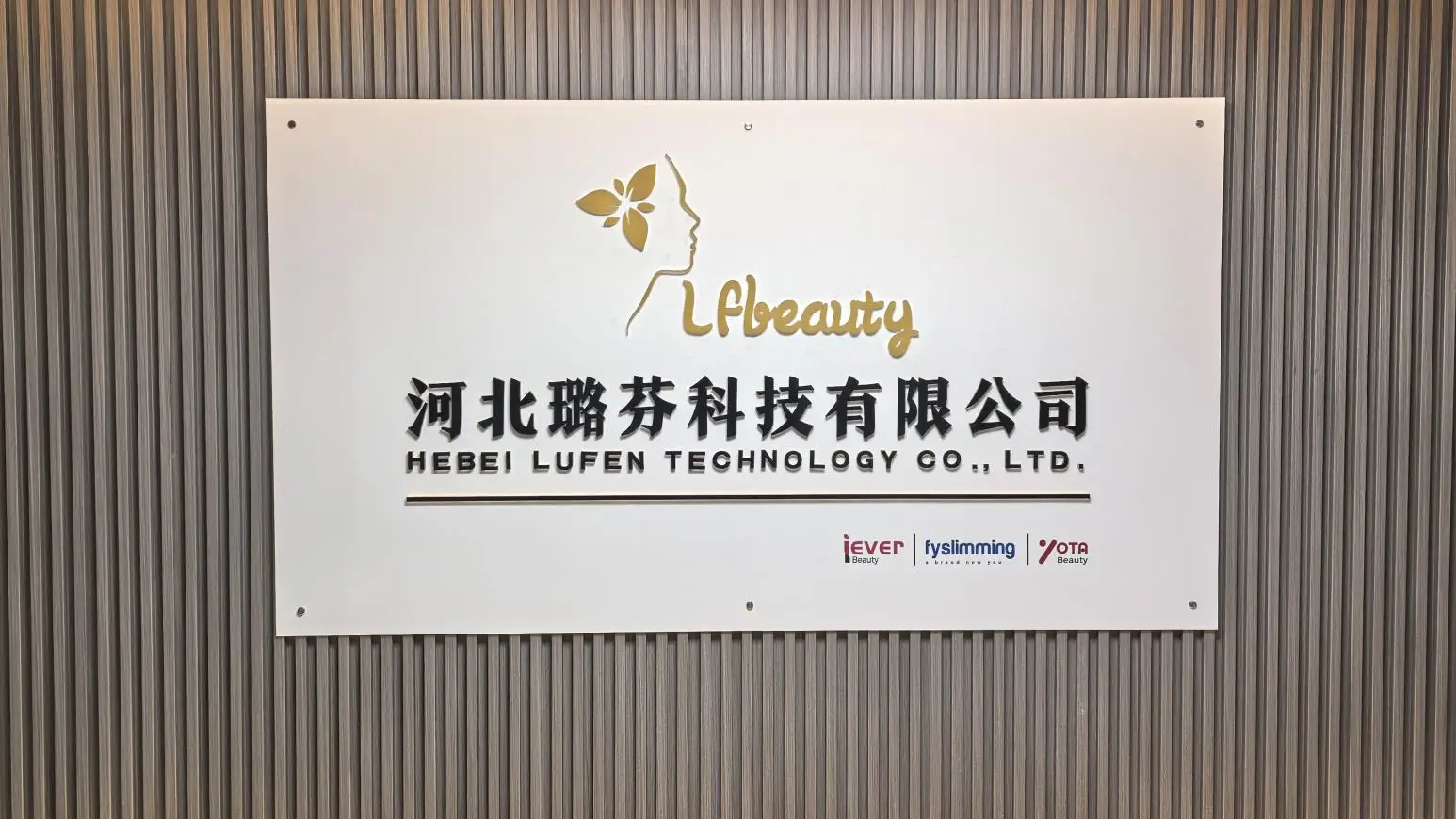 Hebei Lufen Tech Co., Limited Body Slimming Machine