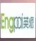 Linyi Leadchem Inc. logo