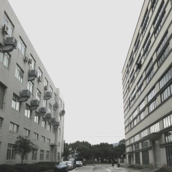 d59rp5cs8i3c73agfe1g.webp